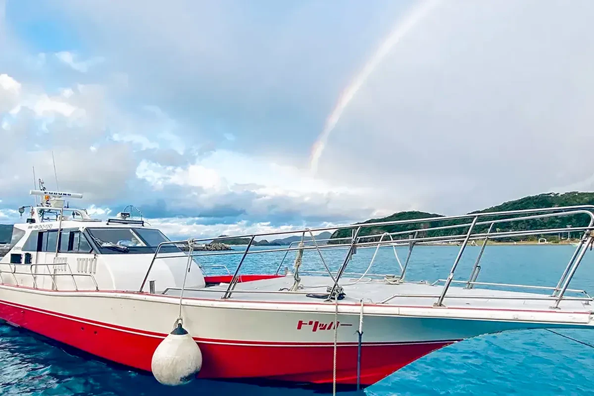 ブリーズ フィッシング サプライ