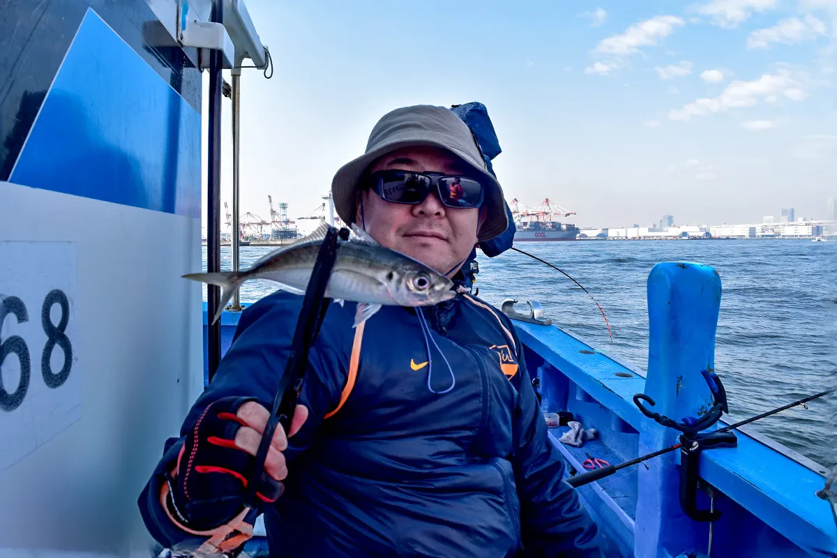 近くの釣り人さんが釣り上げたアジ