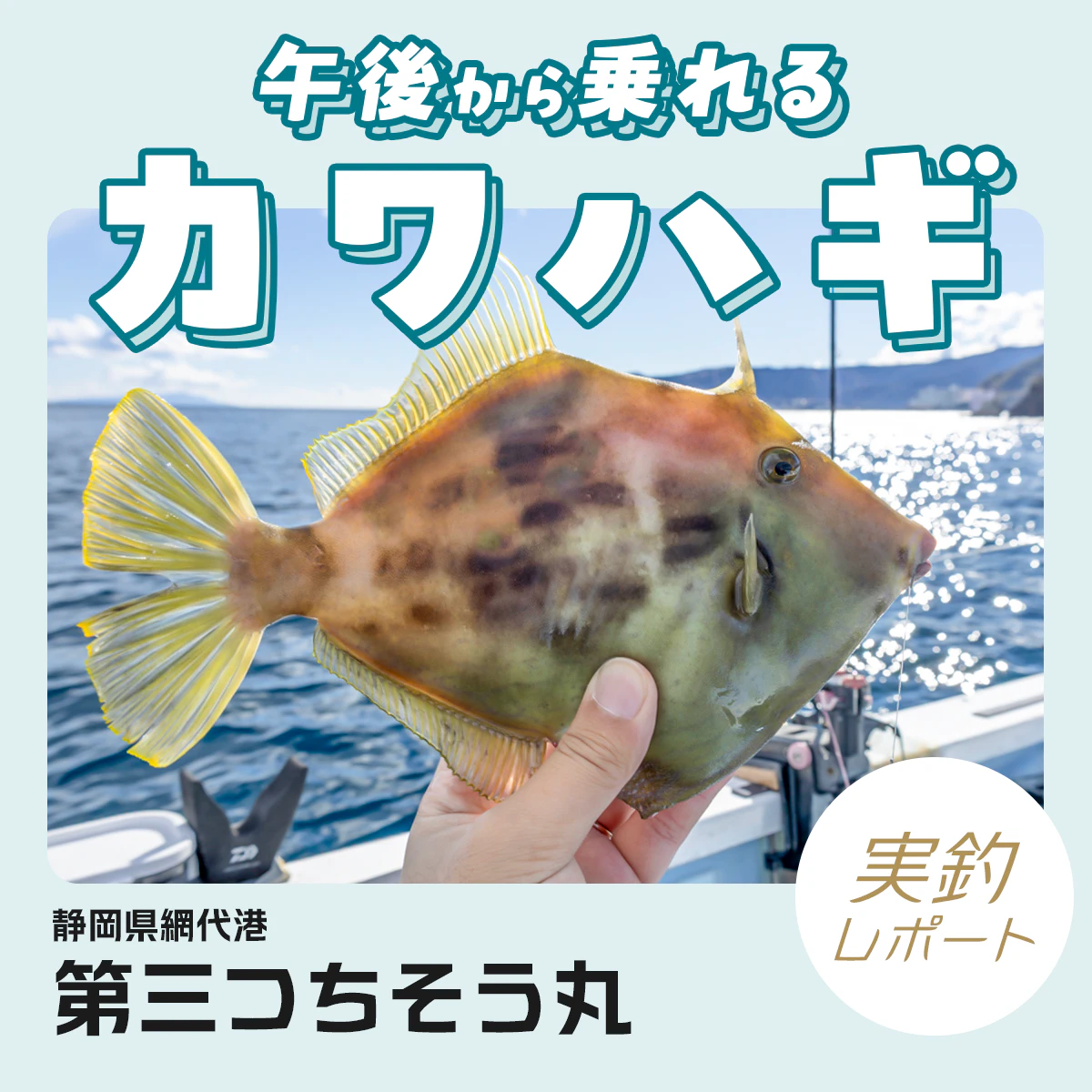 光る仕掛けがポイント！ほぼ関東で午後からカワハギ釣りができる！静岡県網代の第三つちそう丸を実釣レポート！