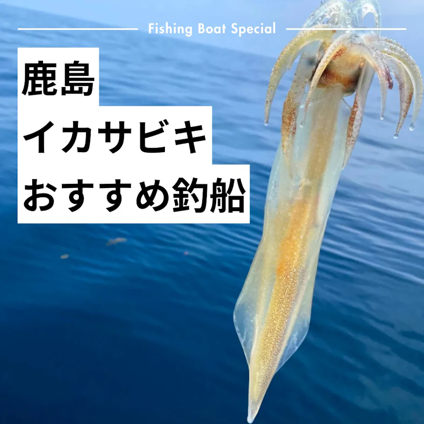 鹿島のイカサビキがおすすめの釣船ランキングTOP6