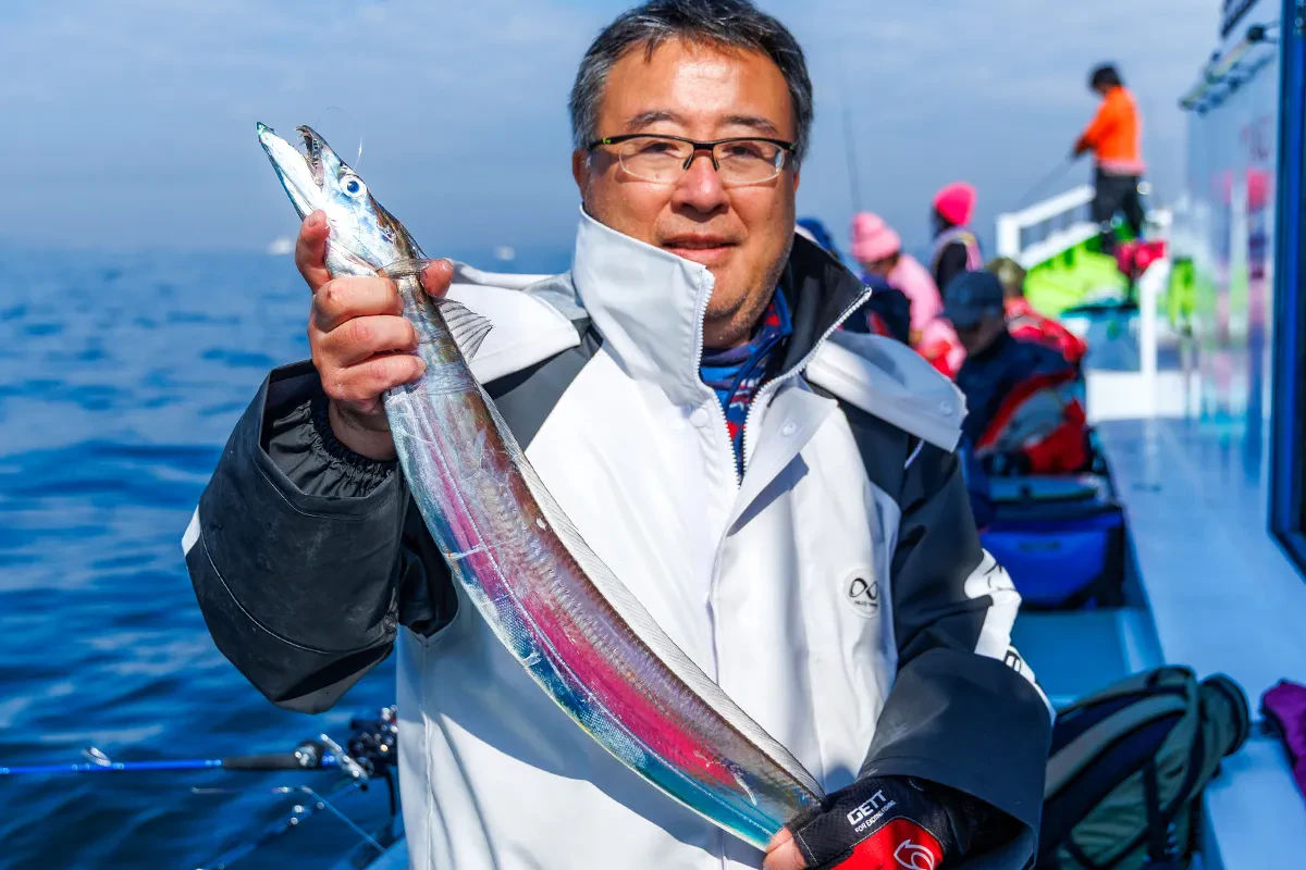 続々と釣れ上がるタチウオ