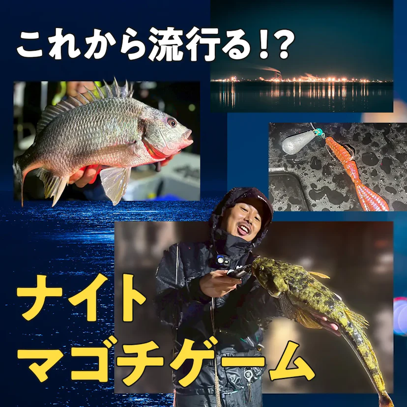 これから流行るかも！？ナイトマゴチゲーム