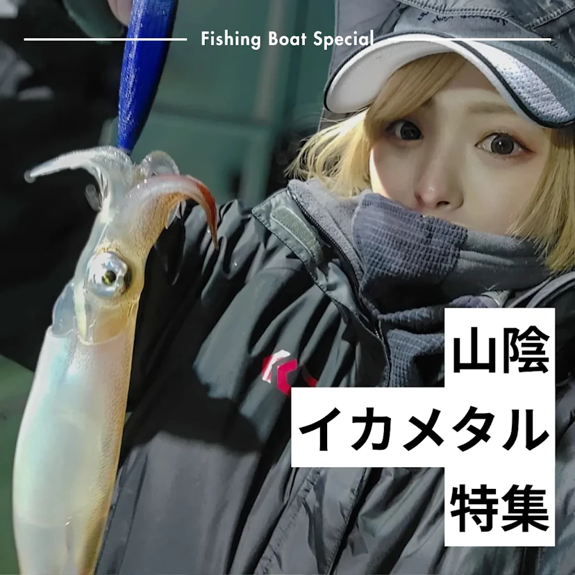 山陰でイカメタルが楽しめる船＆必要なタックルまとめ