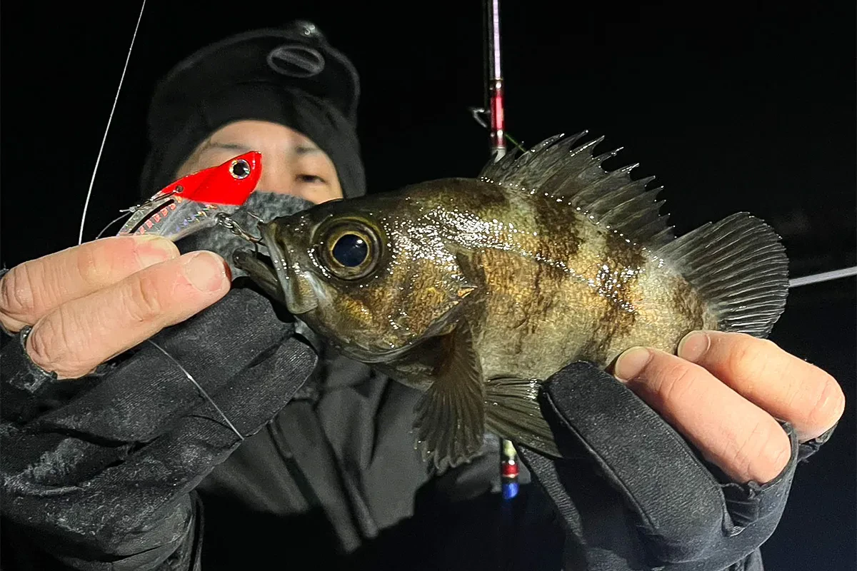 同船者もメバルをキャッチ