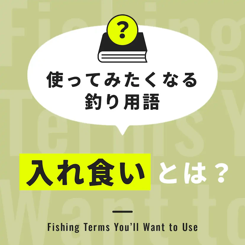 入れ食いとは？【使ってみたくなる釣り用語】