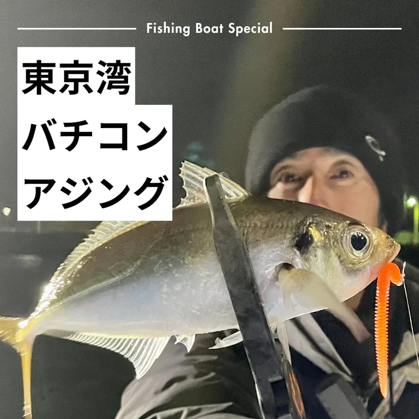 東京湾のバチコンにおすすめの釣船ランキングTOP5