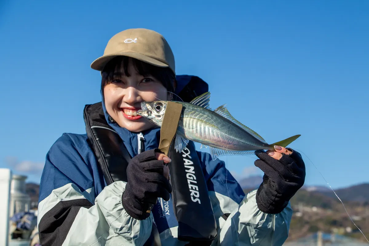 LTアジで釣れたアジ