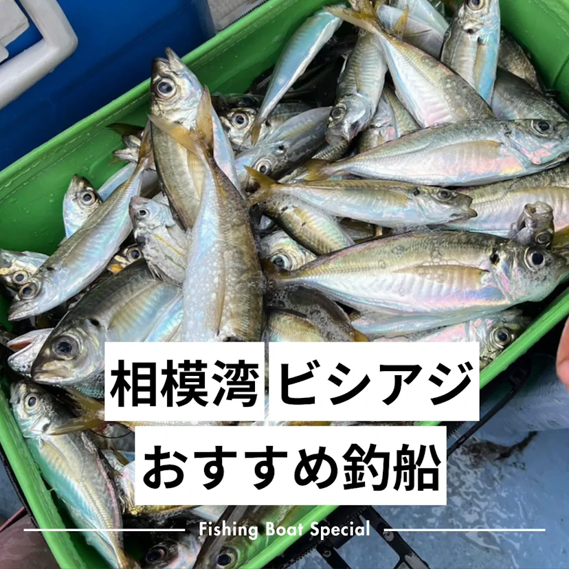 相模湾でビシアジがおすすめの釣船ランキングTOP5