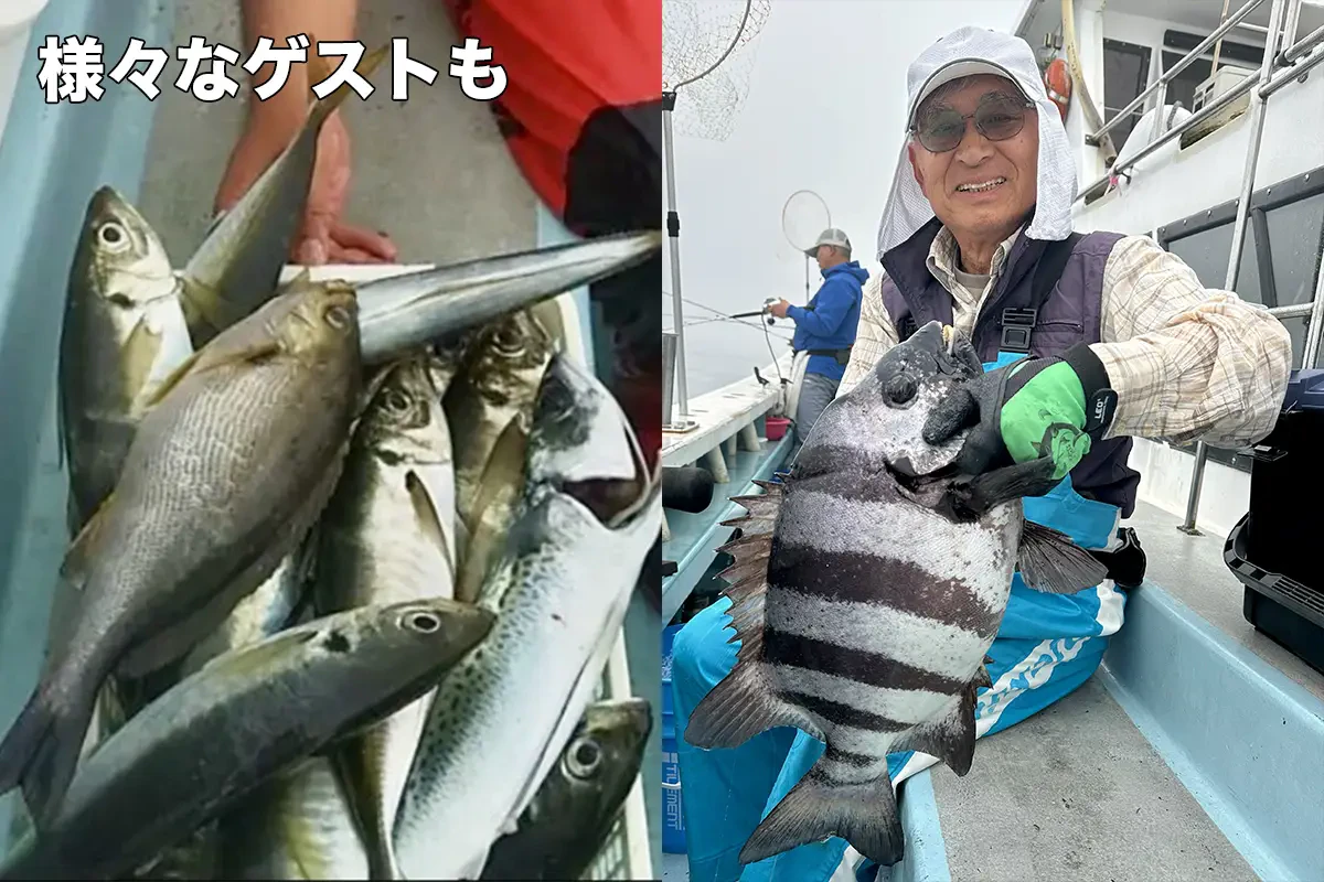 嬉しいゲストも