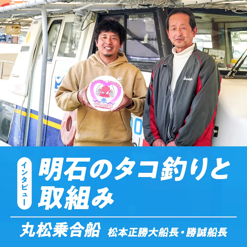 【2025年】明石タコ釣り解禁！ルールや資源保護への思いを『丸松乗合船』にインタビュー