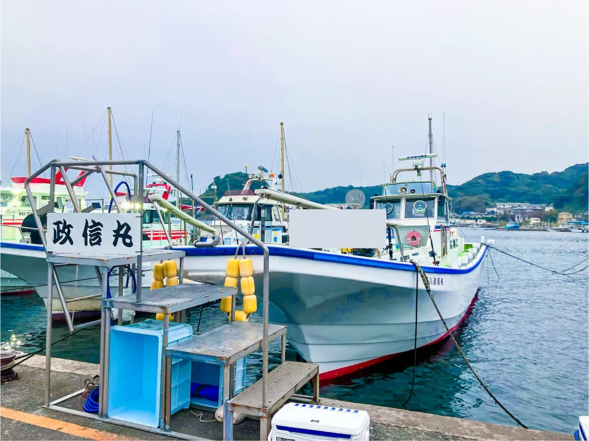 神奈川県横須賀市走水港 政信丸