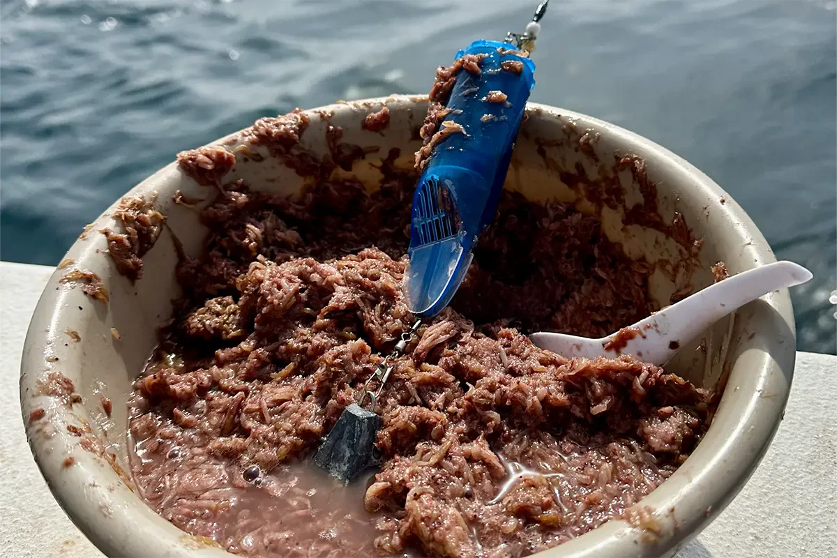 コマセをカゴに詰める