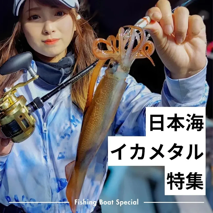 日本海でイカメタルができるおすすめ釣船【半夜便&深夜便】