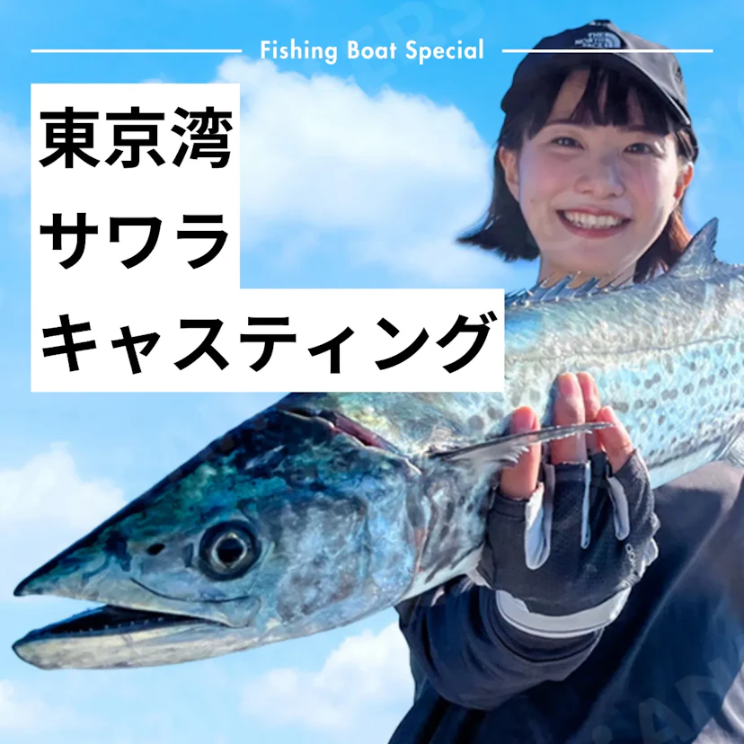 東京湾のサワラキャスティングおすすめ釣船ランキングTOP7