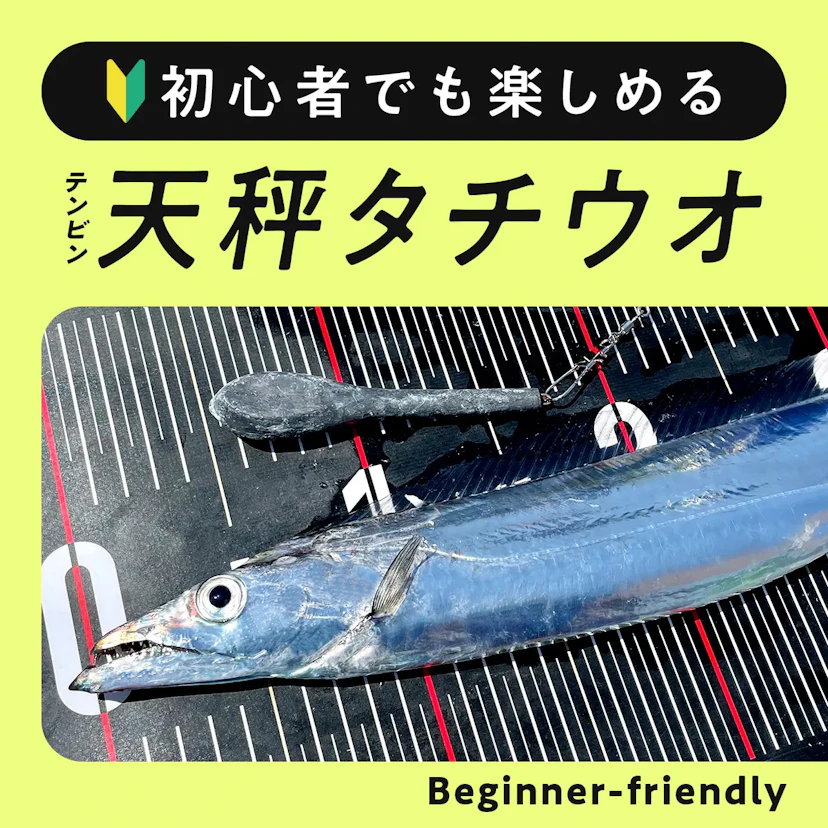 初心者におすすめ！東京湾の天秤タチウオってどんな釣り方？