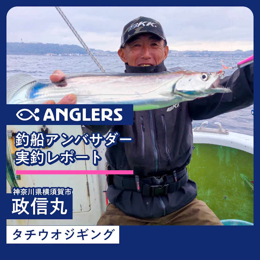 走水港『政信丸』タチウオジギング 釣行レポート 2025.10.15