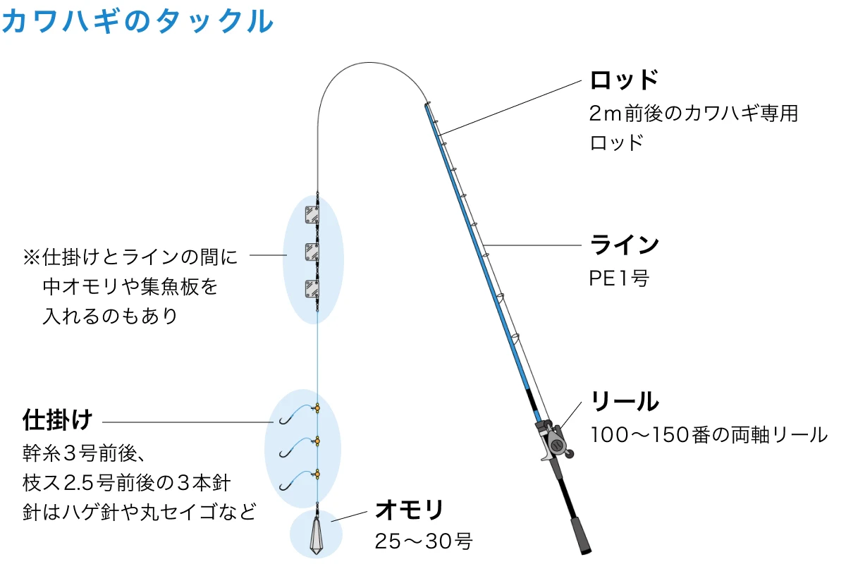 カワハギのタックル