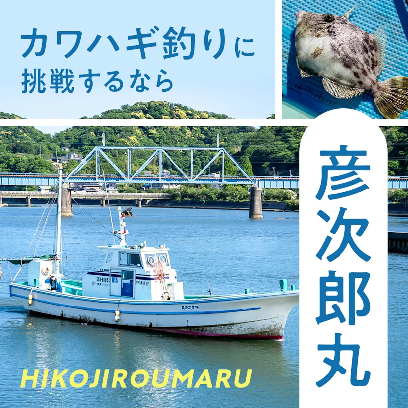 上総湊港『彦次郎丸』でカワハギ釣りに挑戦！