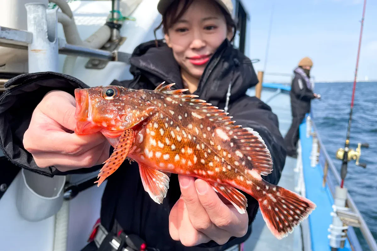 カサゴをキャッチ