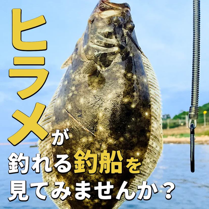 ヒラメ釣りが楽しめるおすすめ釣り船