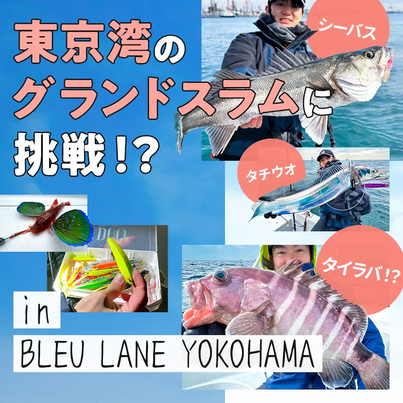 ガイド船だからできる東京湾全魚種コンプリート便！？ in BLEU LANE YOKOHAMA