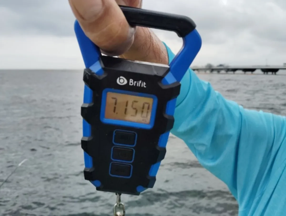 7.15kgの超大型サイズ