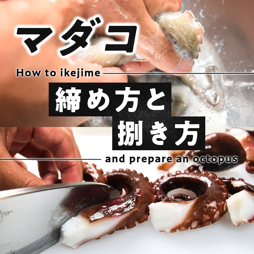【マダコの捌き方】締め方から下処理のコツをわかりやすく解説