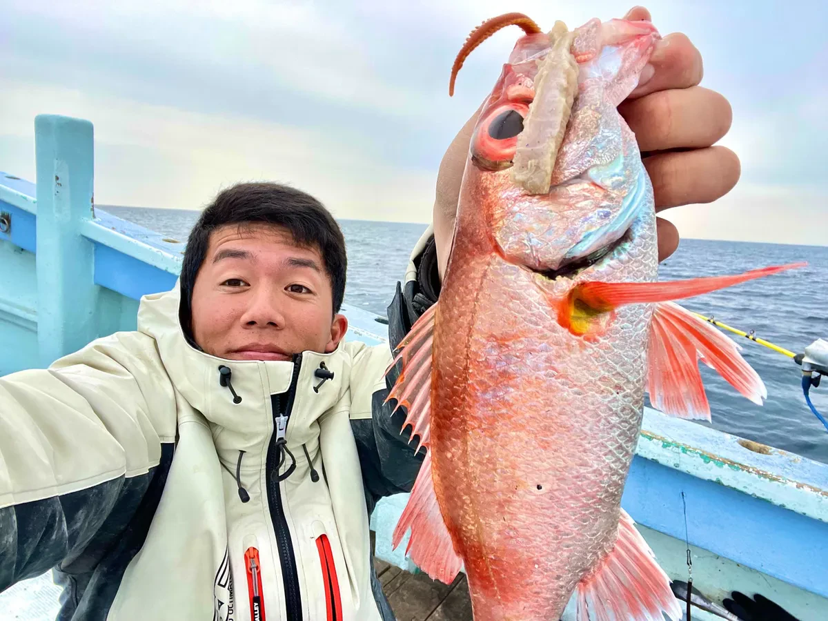 エサ釣りで釣れたアカムツ