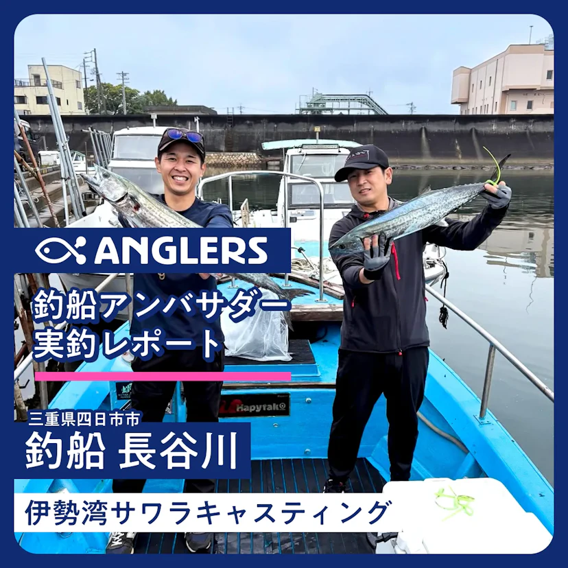 伊勢湾サワラキャスティングハイシーズン到来!『釣船 長谷川』釣行レポート 2025.10.11