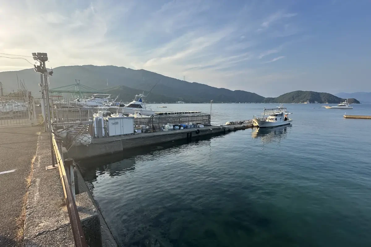 Bigfin Squid・畑友之船長にインタビュー