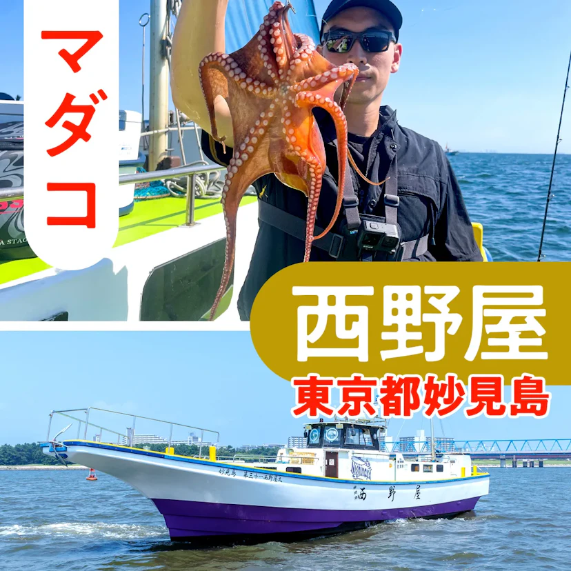 船宿 西野屋でマダコ釣りに挑戦してみた