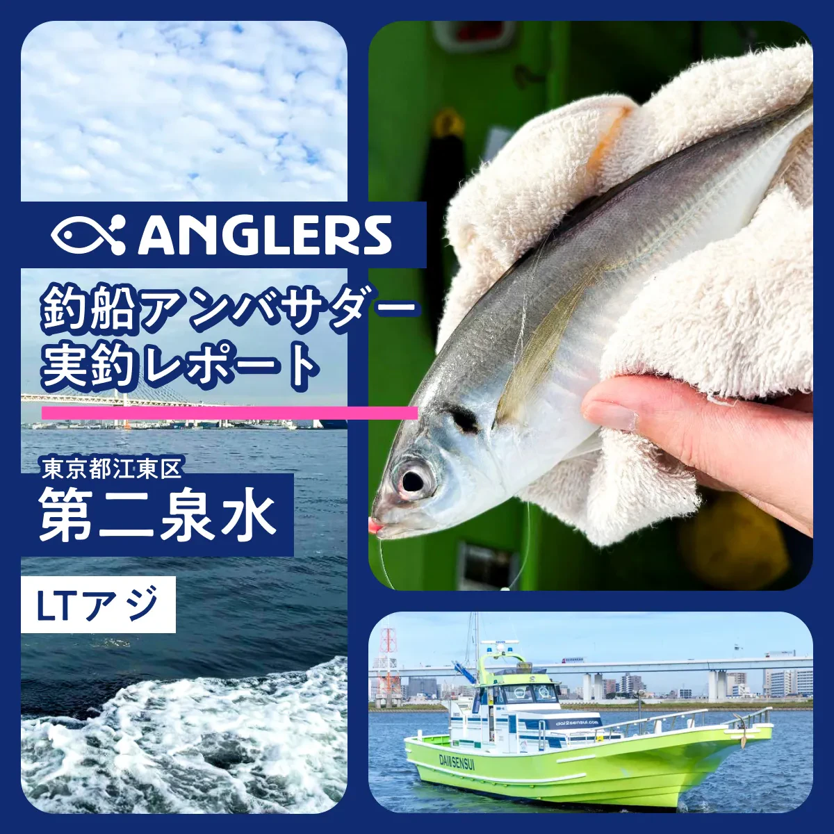 「第二泉水」LTアジ釣行！タナを意識したコマセワークで釣果を伸ばす