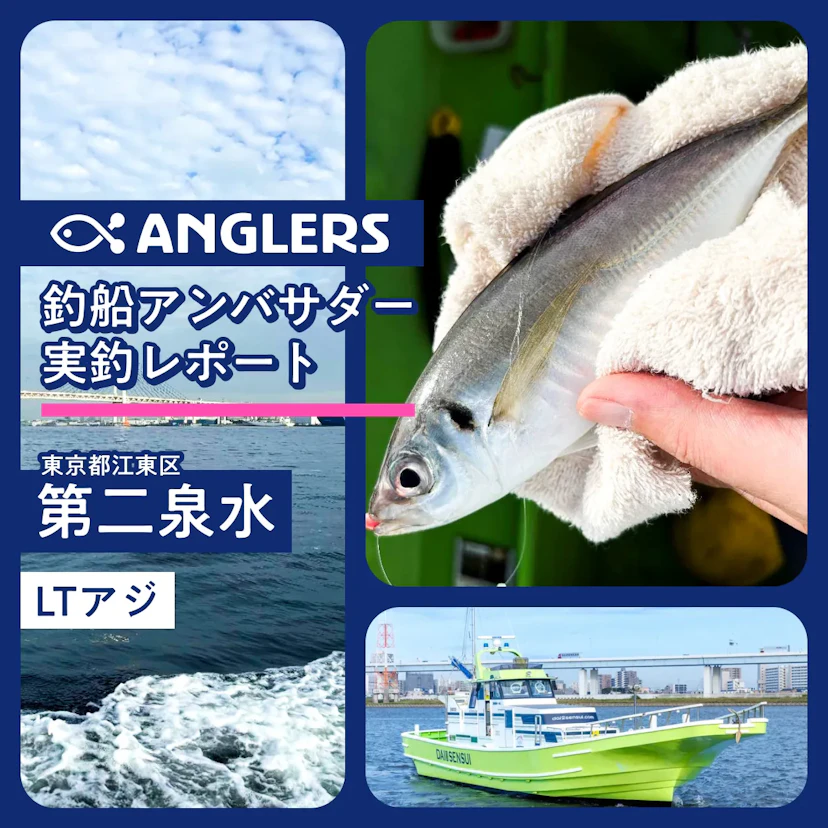 「第二泉水」LTアジ釣行!タナを意識したコマセワークで釣果を伸ばす