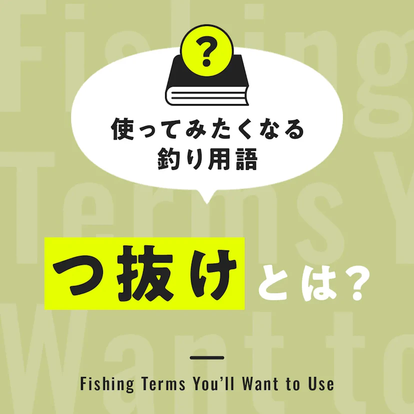 つ抜けとは？【使ってみたくなる釣り用語】