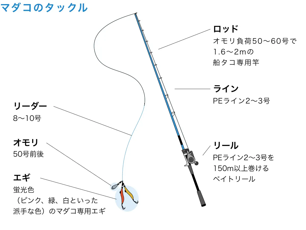 マダコのタックル