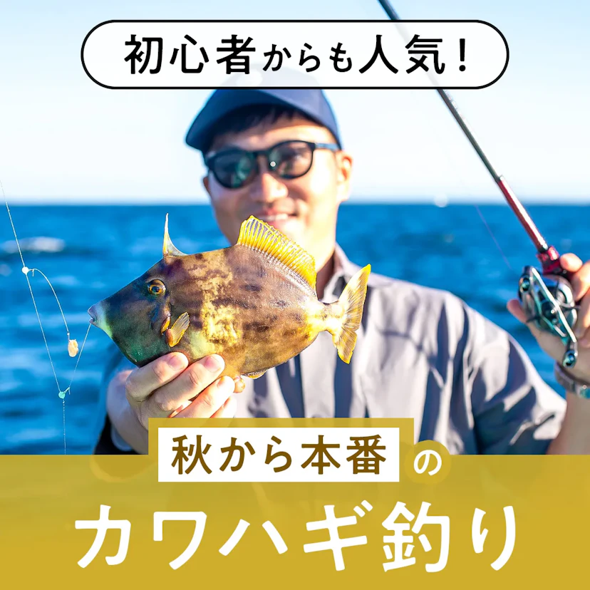 船釣り初心者からも人気！カワハギってどんな釣り方？