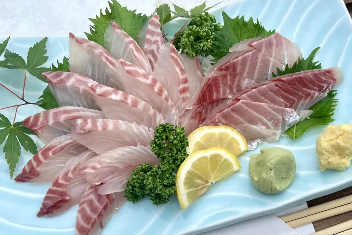 イサキの刺身