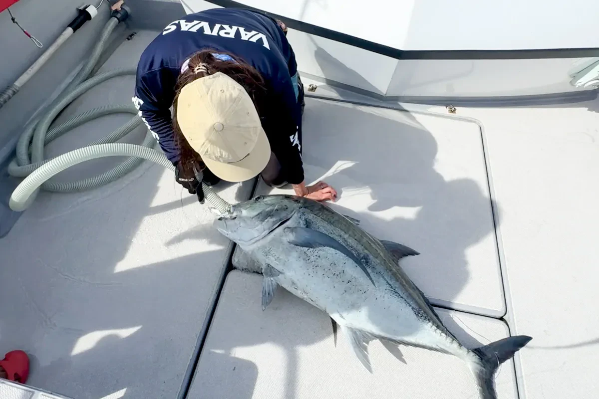 しっかりと蘇生を行う