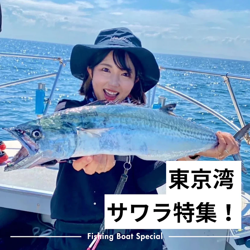 【東京湾サワラ特集】エリアごとにおすすめの釣船をピックアップ！