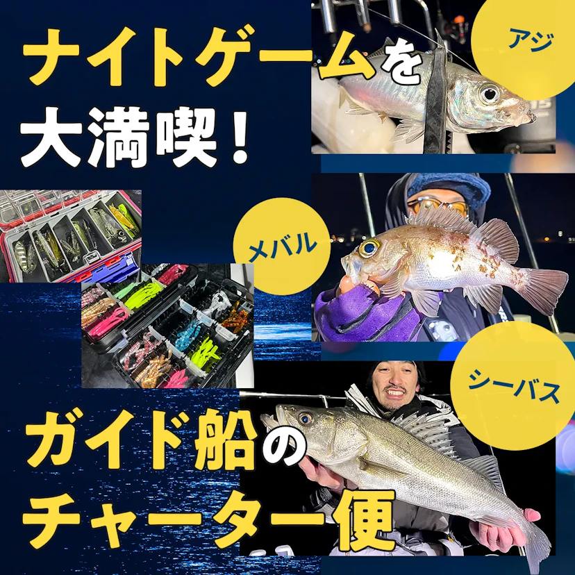 ガイド船のチャーター便でナイトゲームを満喫してみた!