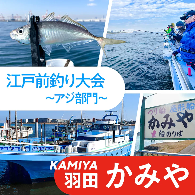 江戸前釣り大会レポート!羽田『かみや』でアジ部門に挑戦してみた!