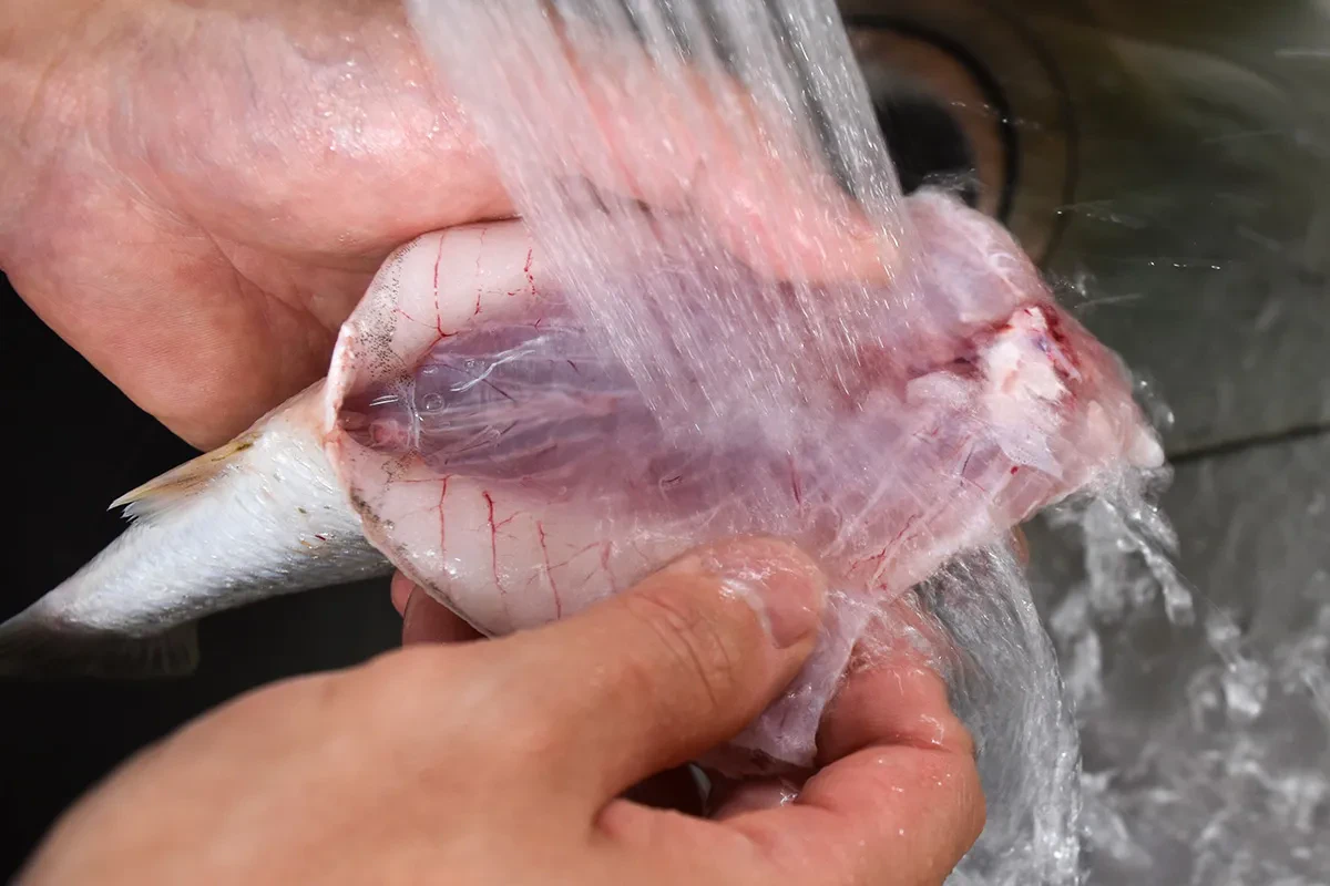 流水で綺麗に洗う