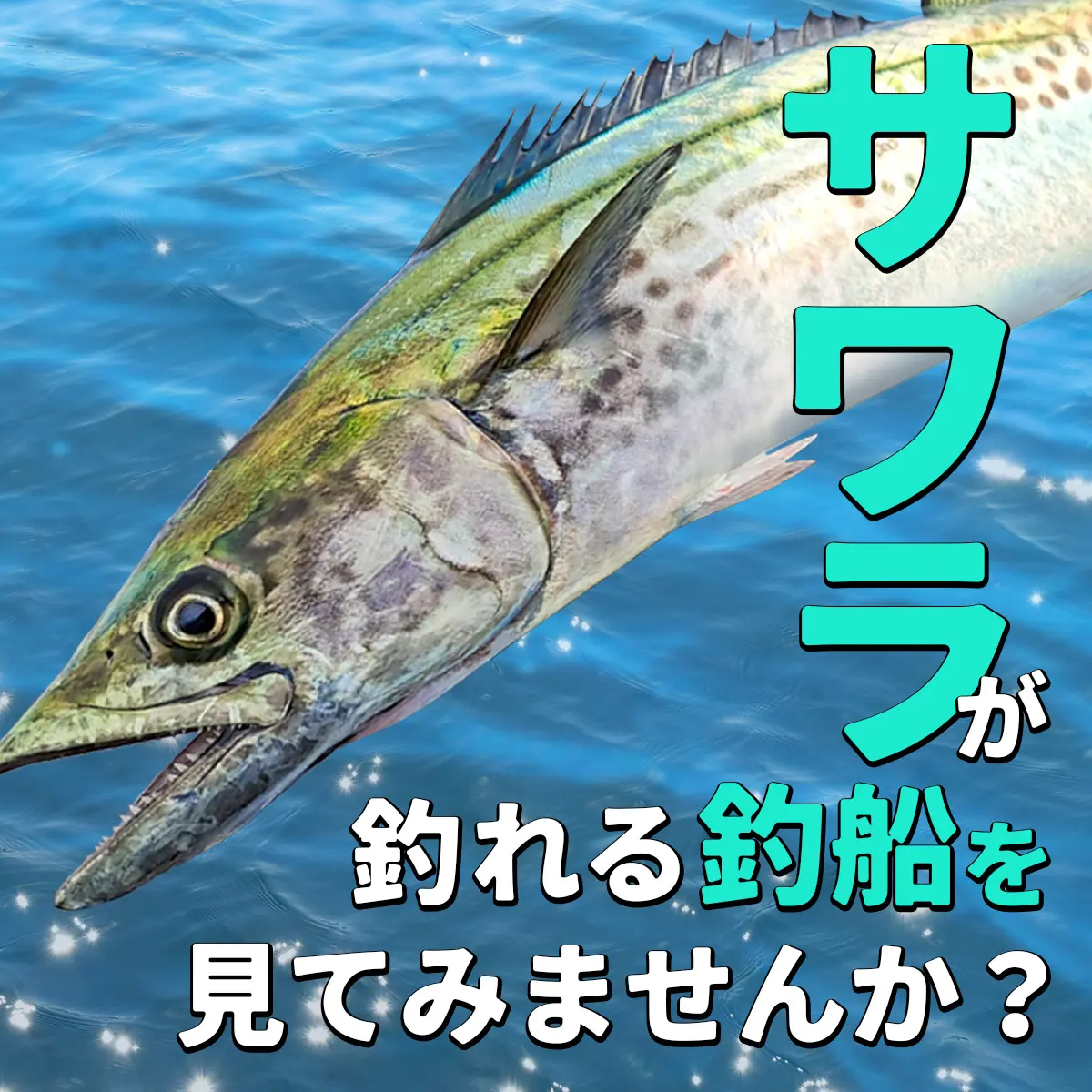 サワラ釣りが楽しめるおすすめ釣り船 つりマガジン - アングラーズ釣船予約