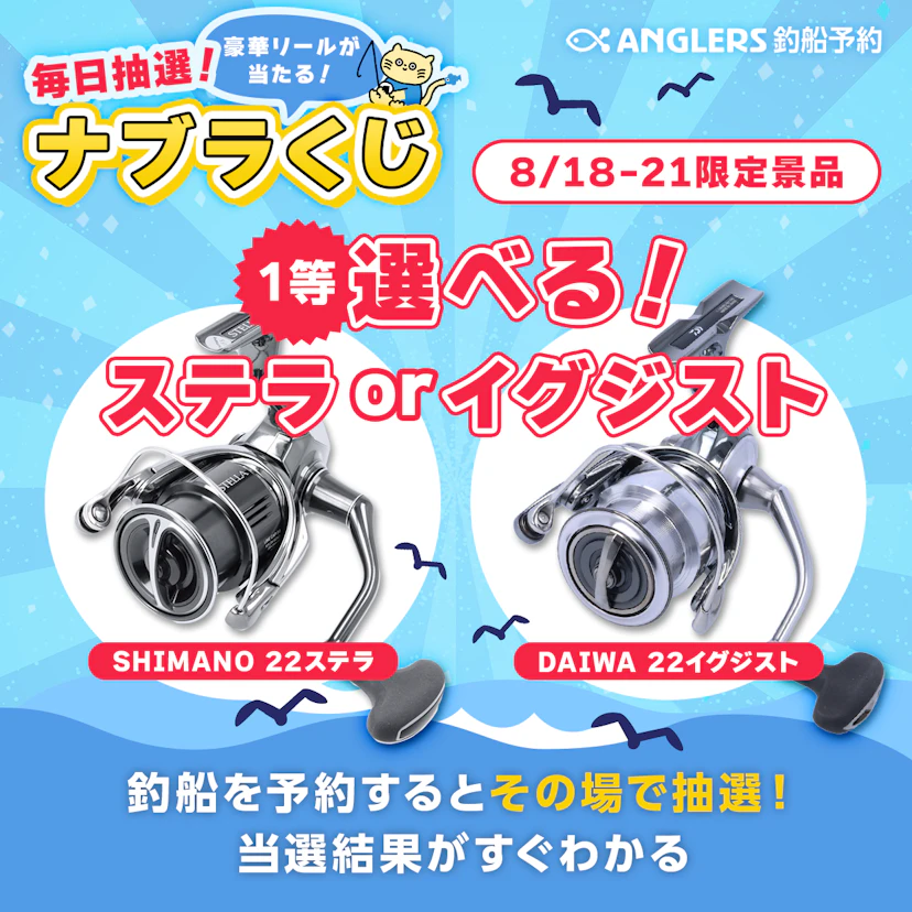 【開催終了】ステラ・イグジストがその場で当たる！【8/18〜21のナブラくじ】