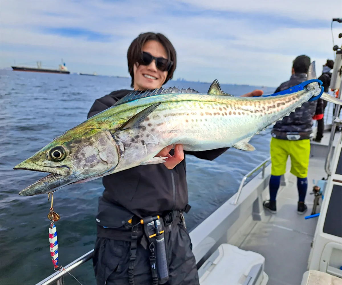 東京湾で釣れたサワラの画像