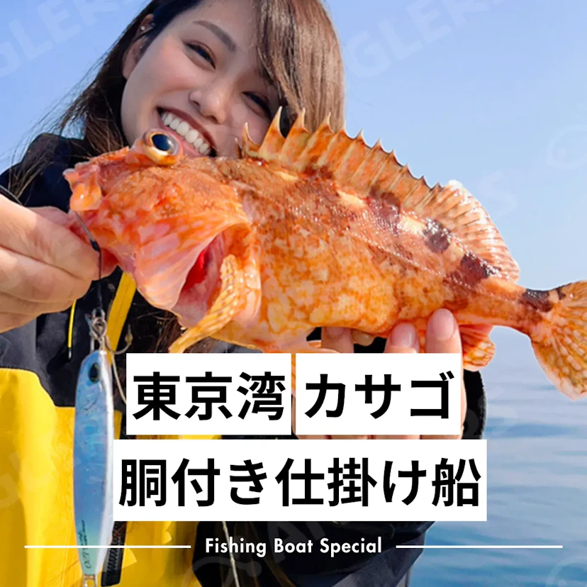 東京湾でのカサゴ釣り（胴付き仕掛け）のおすすめ釣船ランキングTOP7