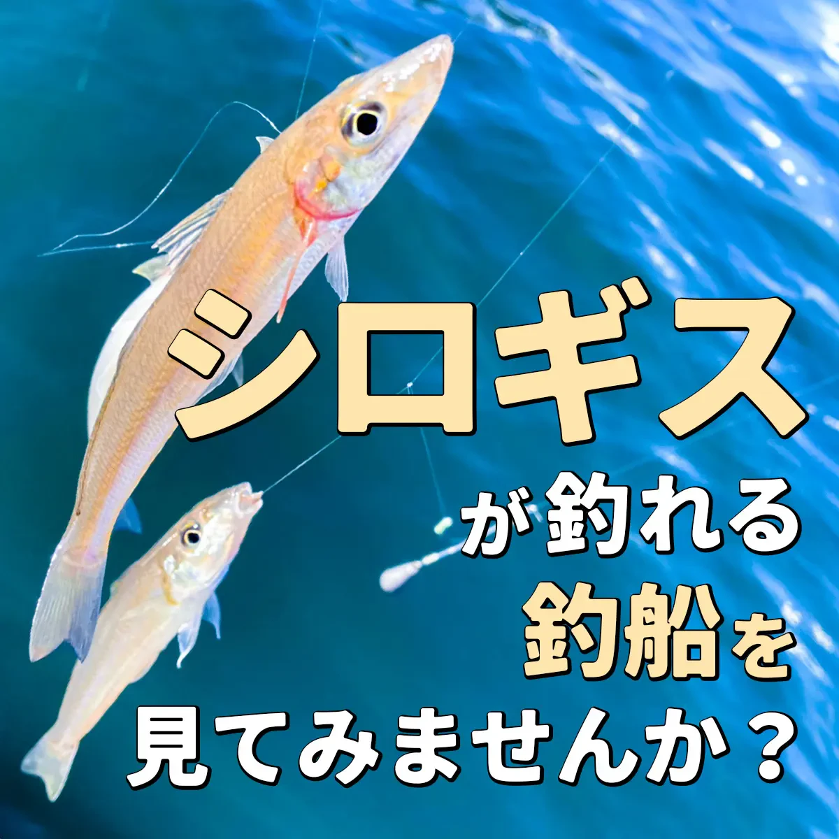 シロギス釣りを楽しめるおすすめ釣り船