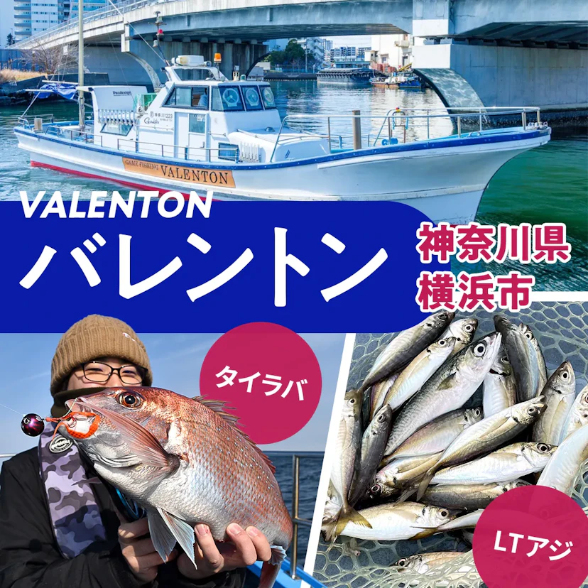 『バレントン』でLTアジとタイラバに挑戦してみた!