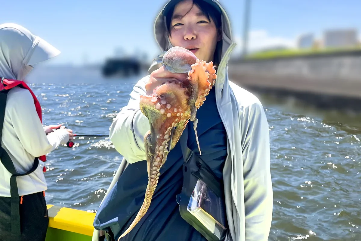 マダコをキャッチ