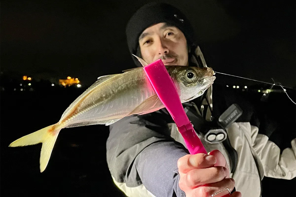 バチコンで1匹目のアジゲット